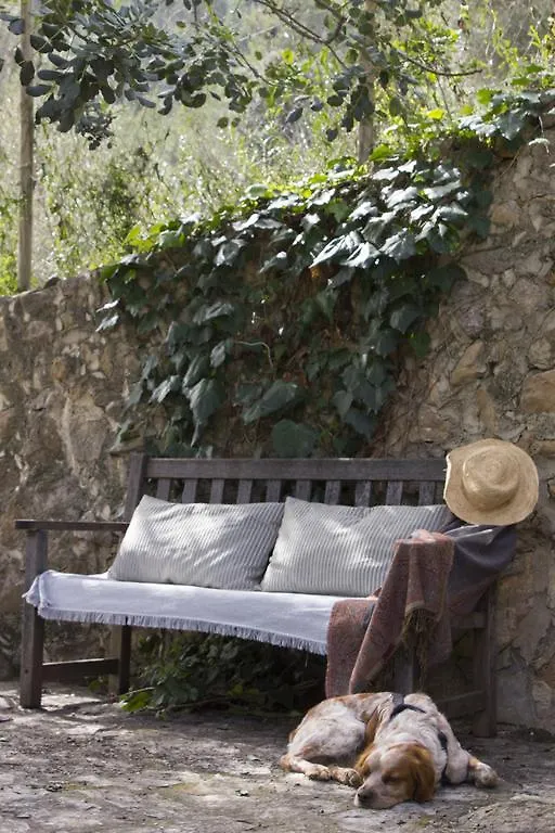 Holiday home Cas Correig Villa Esporles Spain